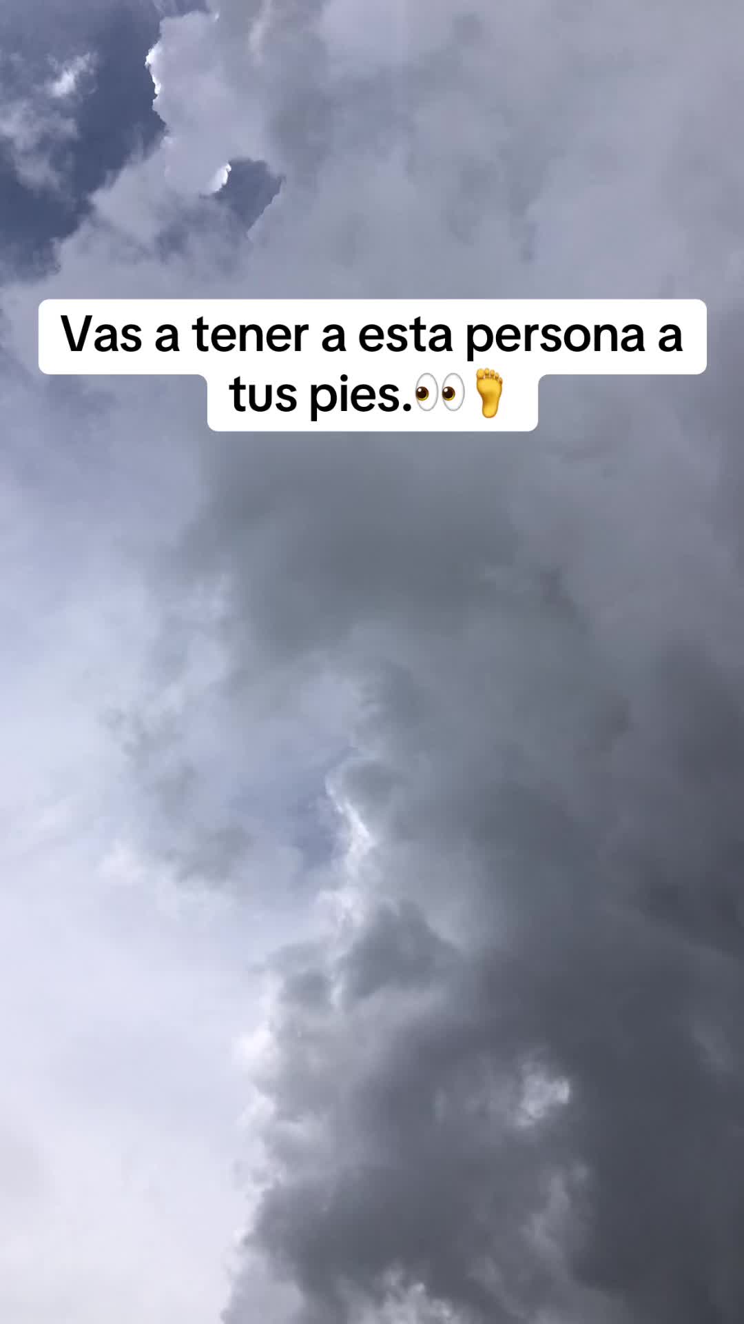 @🔮Maestro_San_Miguel🔮