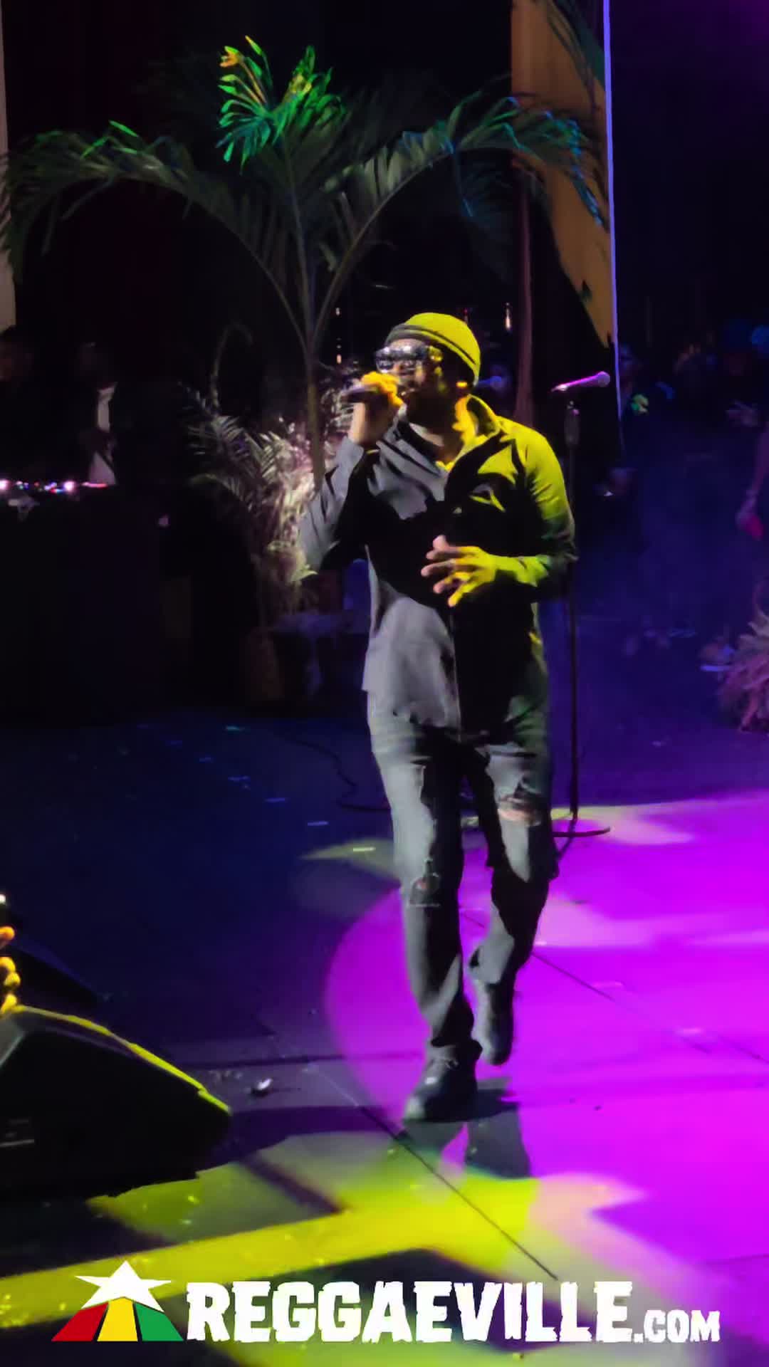 @Reggaeville.com