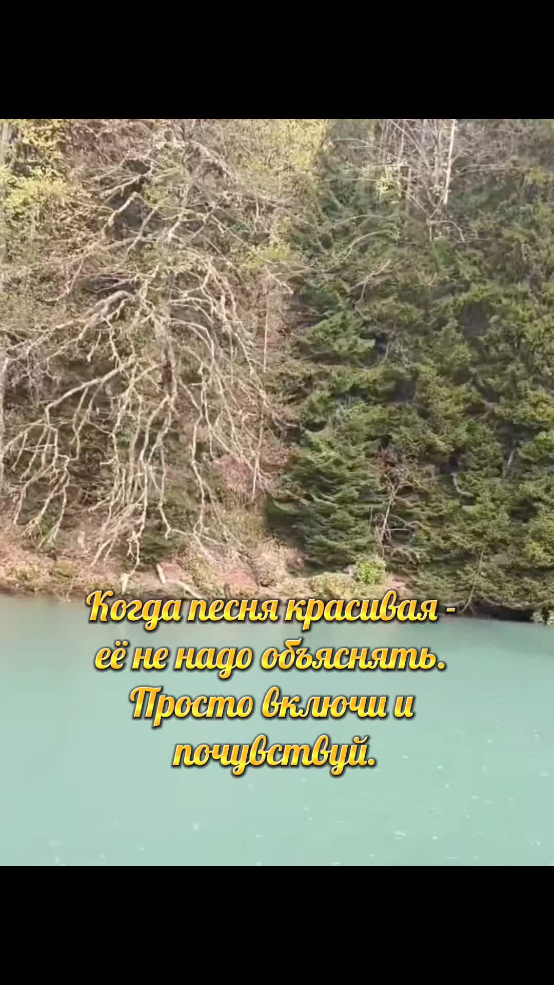 @𝕋𝕚𝕜𝕋𝕠𝕜 🪼