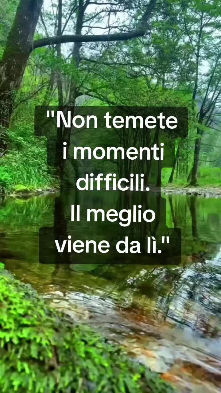 @💫FRASI&CITAZIONI💫