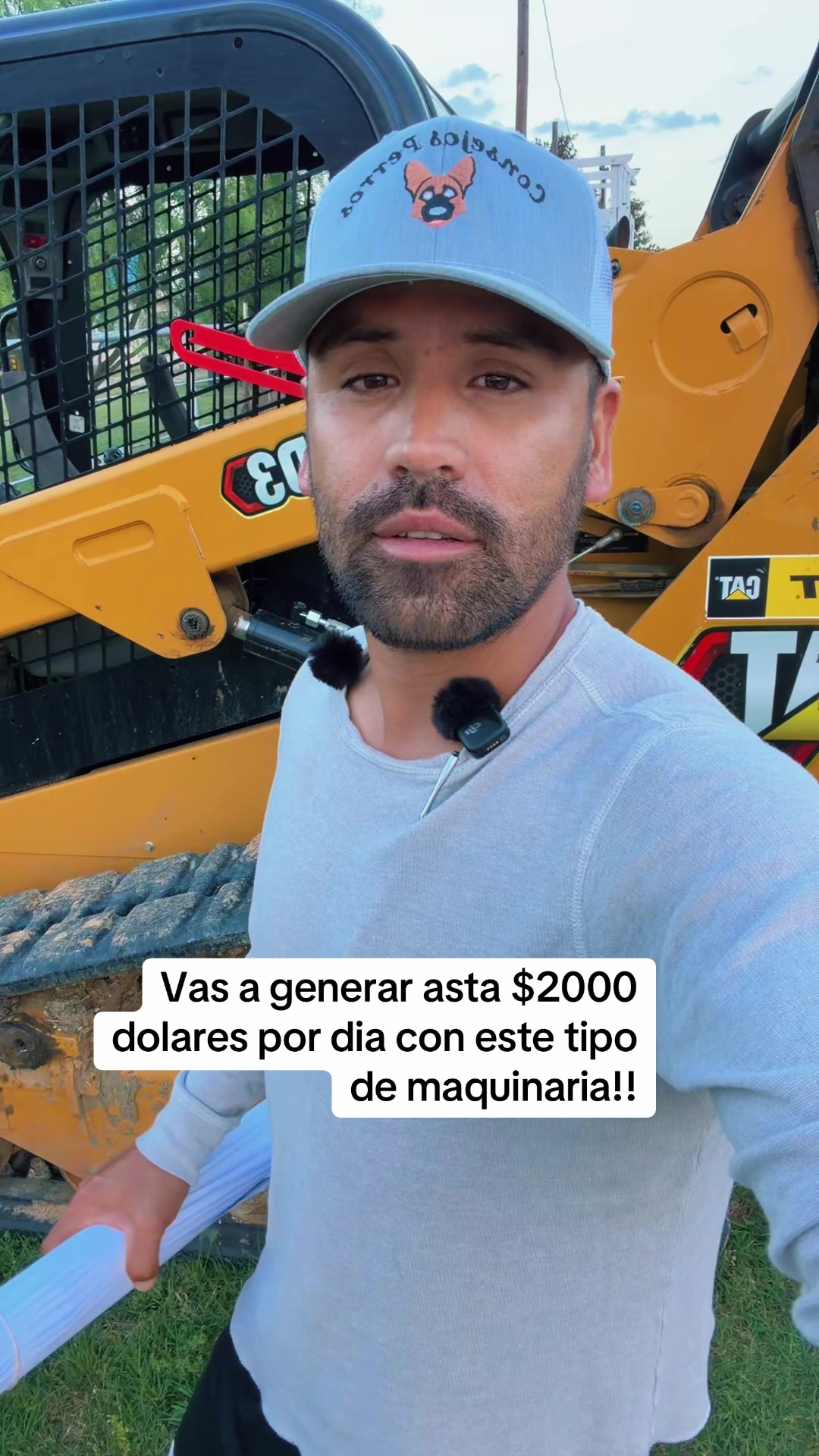 @Consejos Perros 🐶