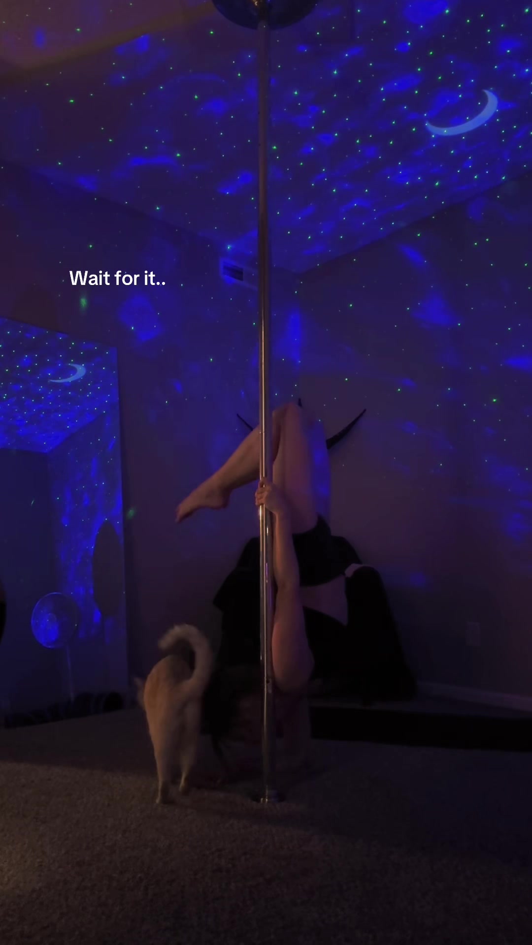 @Tabstrash