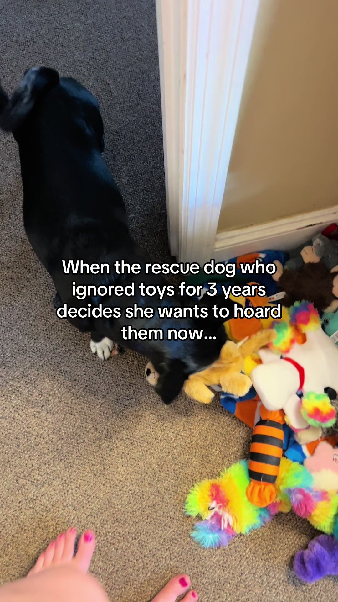@Candice + Willow ♥️🐾