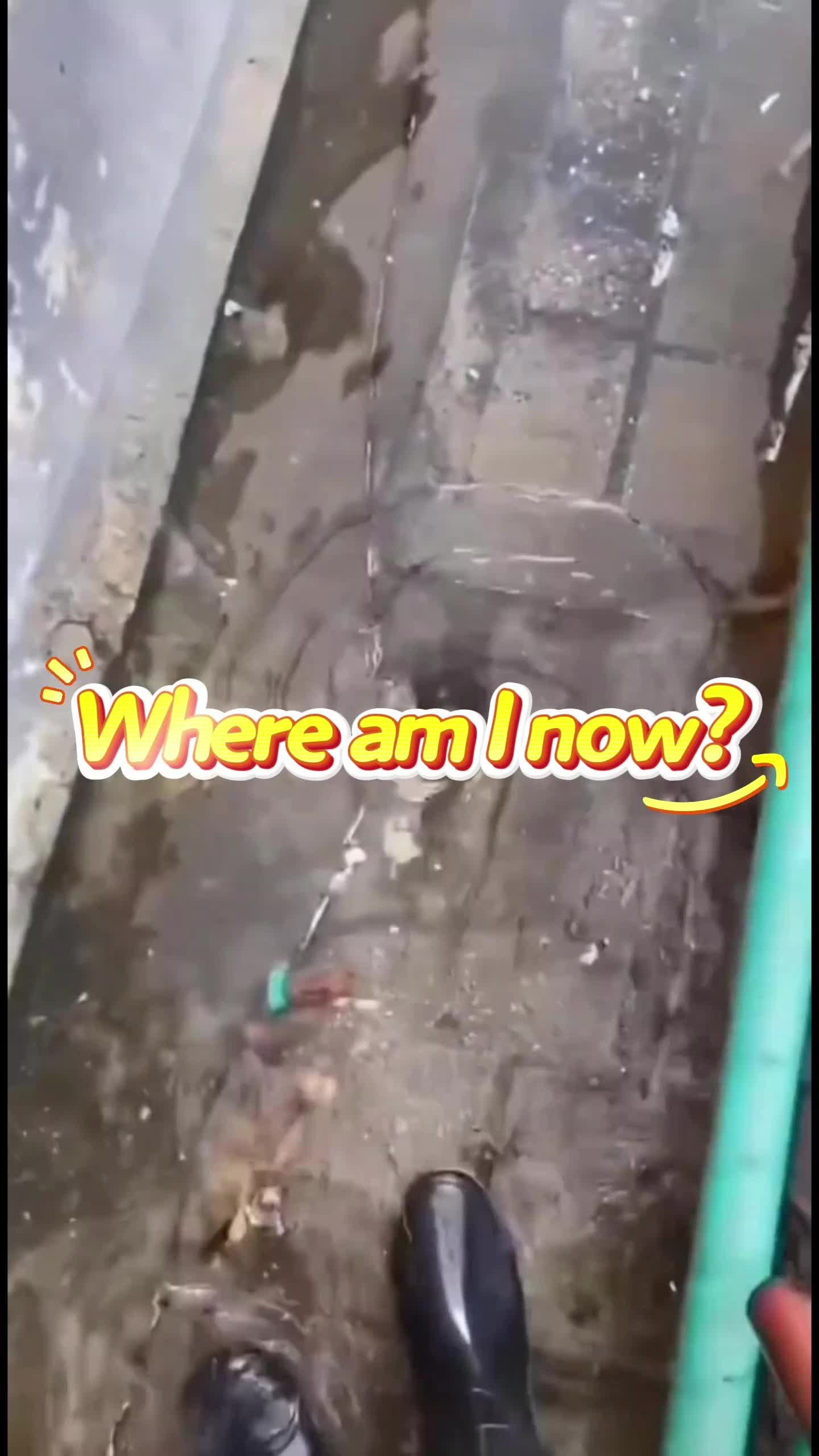 @edunwindow