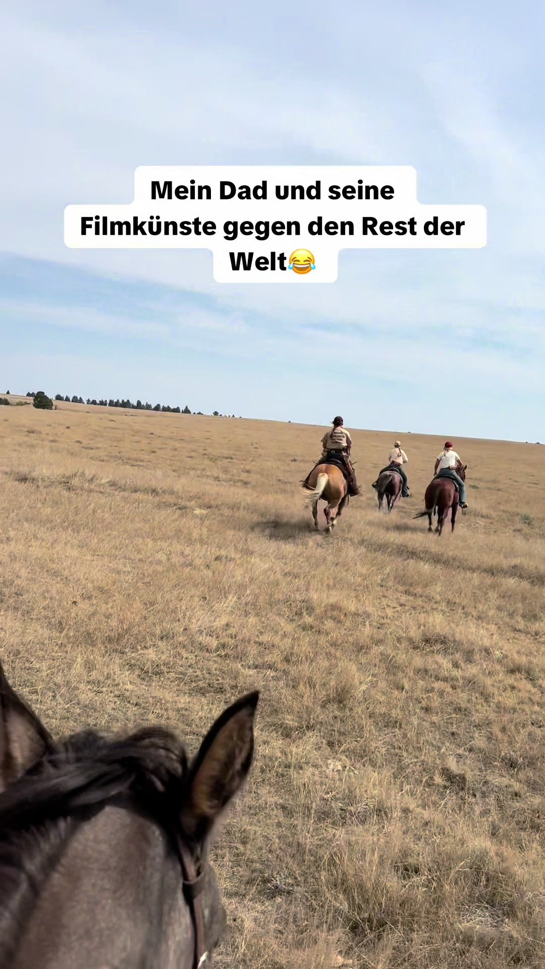 @Alena🤠
