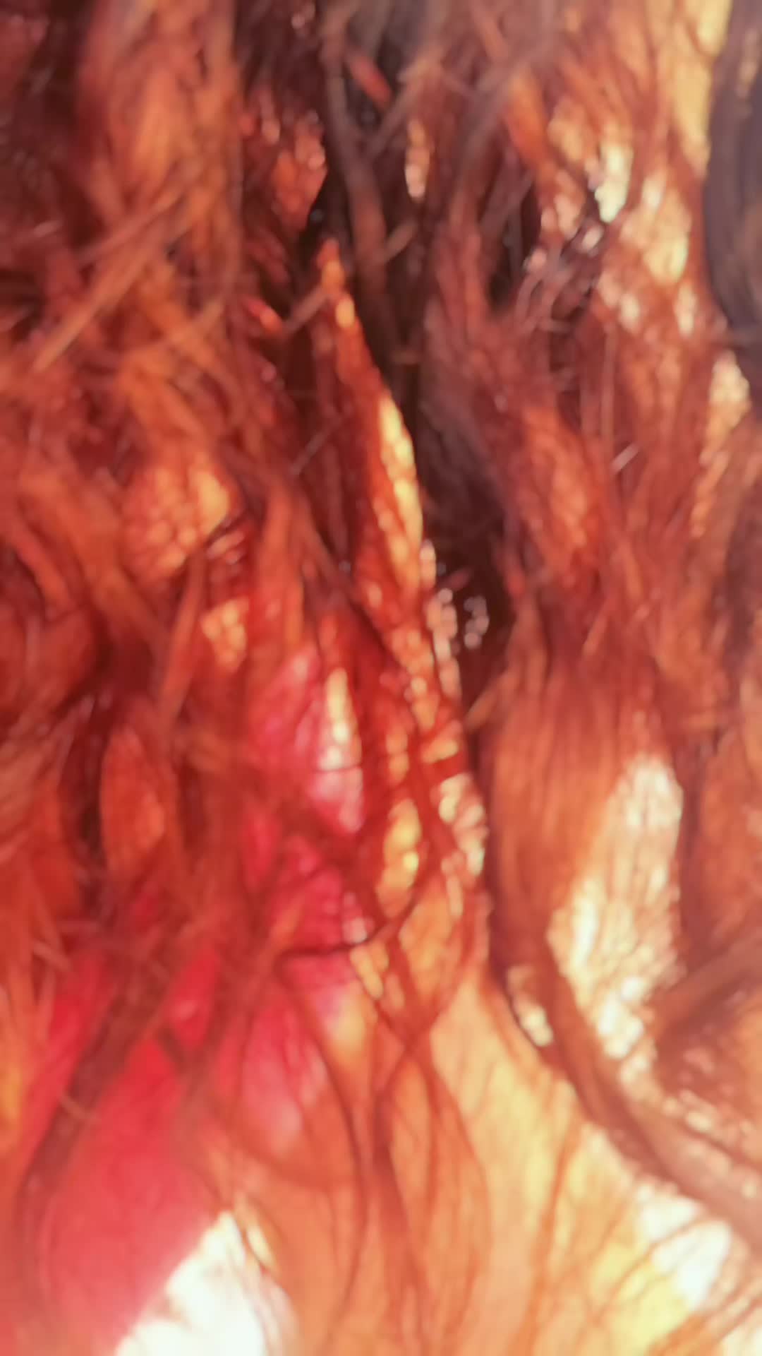 @Raffaella giordano