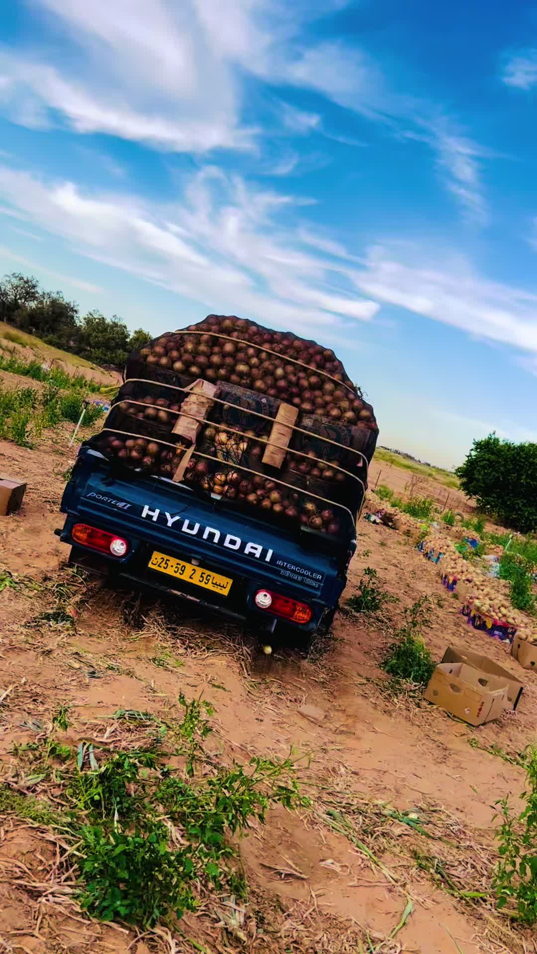 @مــؤيــد الـمعلـــول