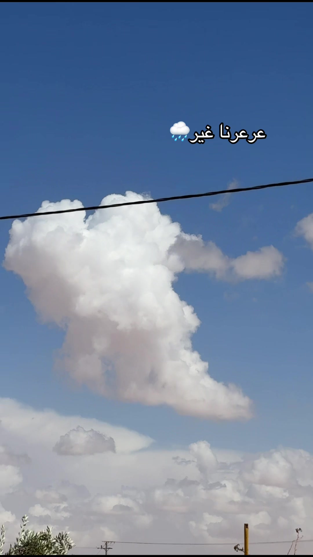@ويـلان 📸