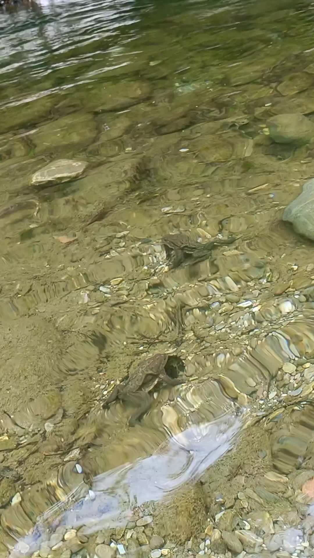 @kdsmcx