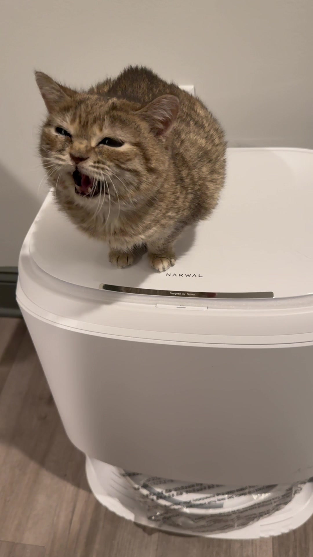 @๐๐ฎ๐ต๐ธ๐ญ๐ & ๐๐ฒ๐ฐ๐ฐ๐