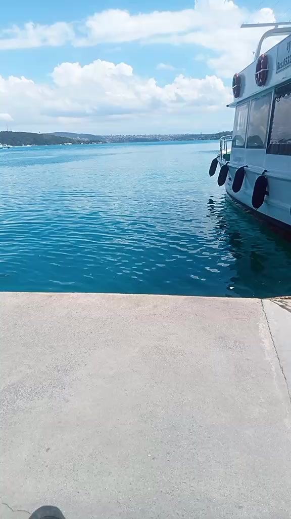 @POLAT ALEMDAR 66