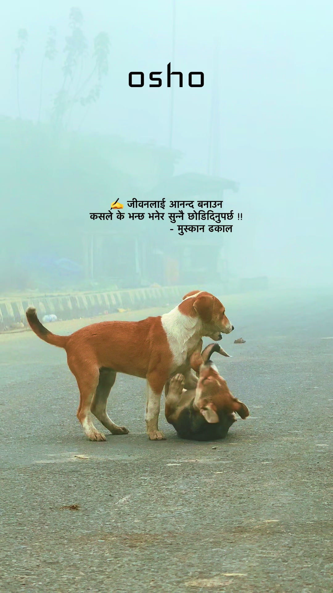 @muskandhakal14