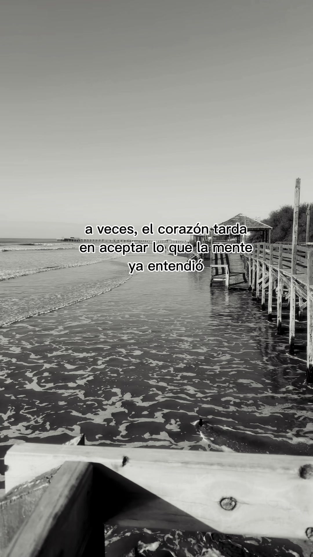@agustinacardoso7