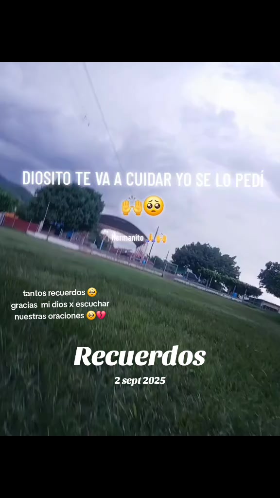 @🐇*CELESTE*🐇