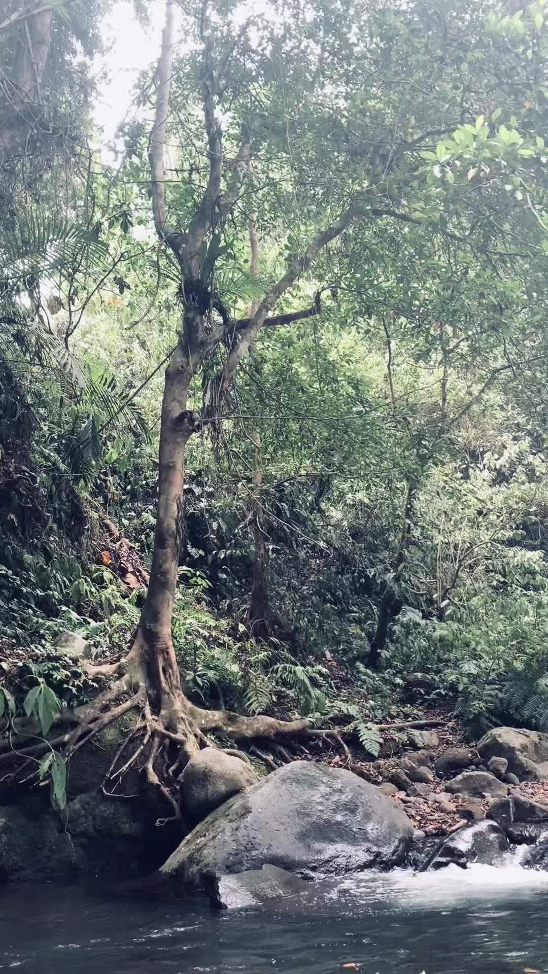 @duasatuapril