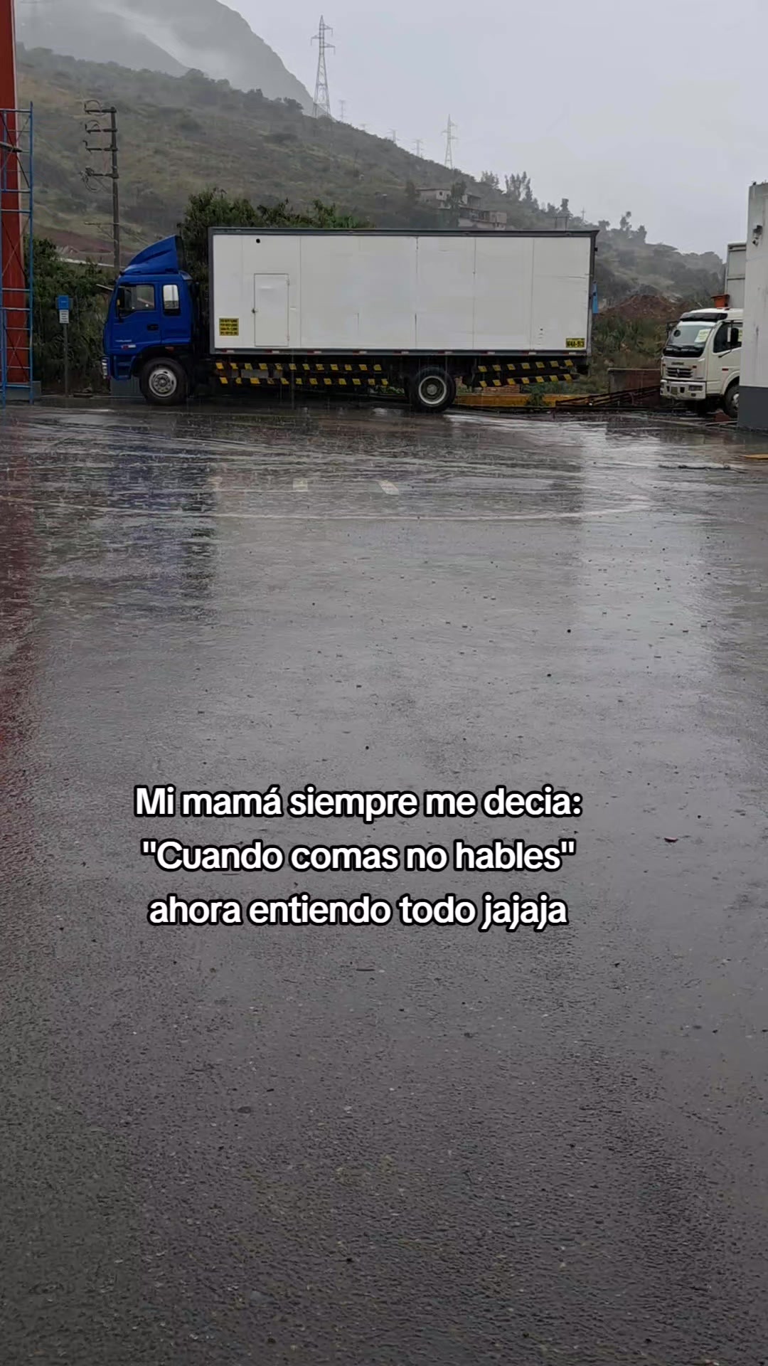 @Calichin🦭