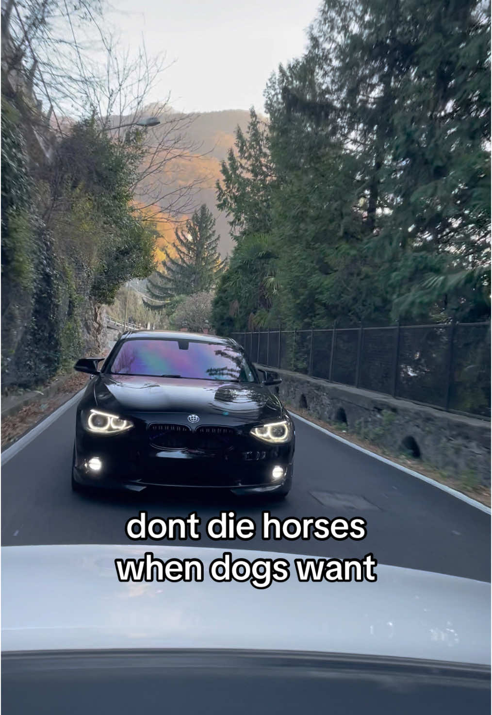 @Codruț