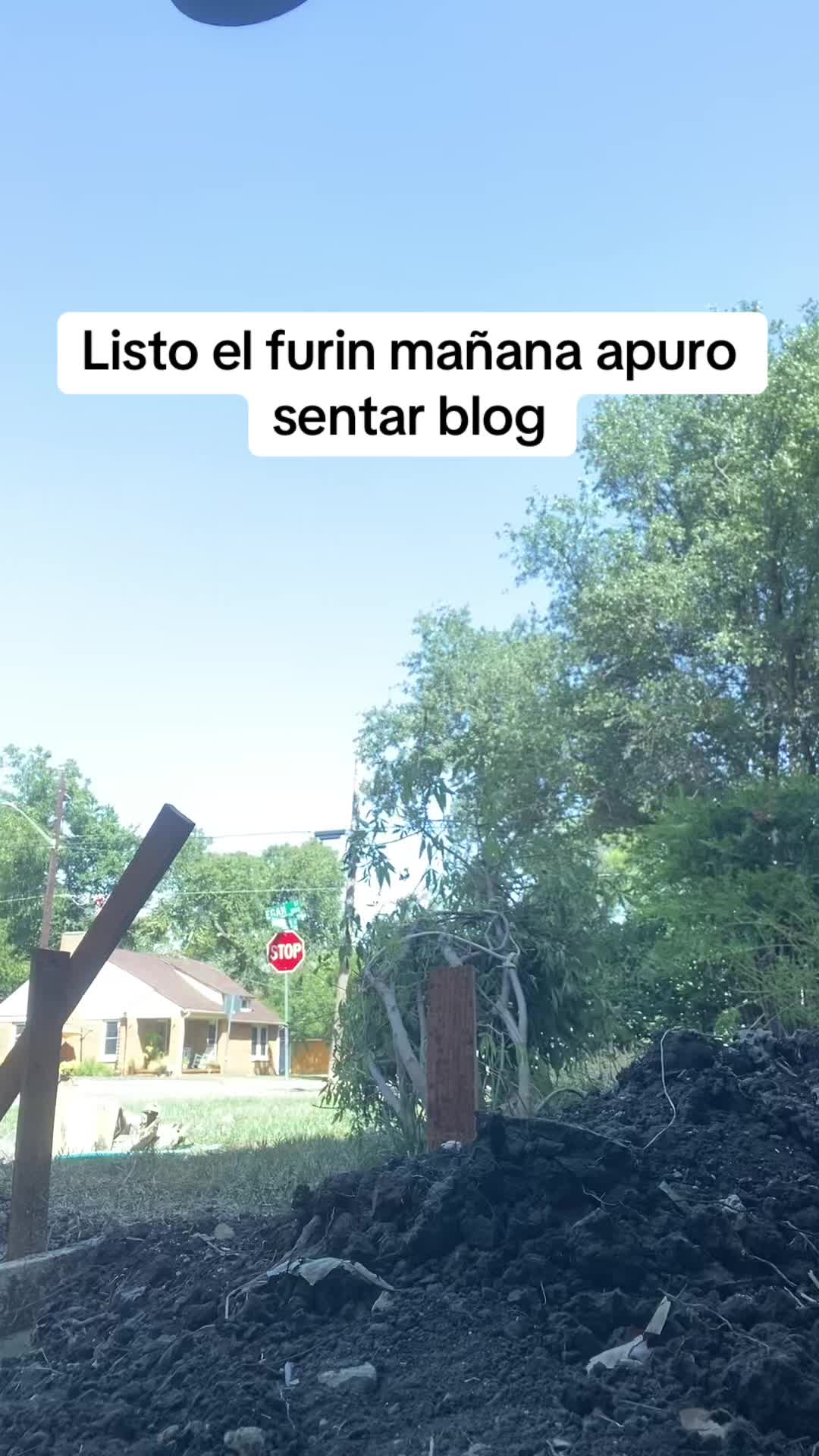 @Alejandro Diaz