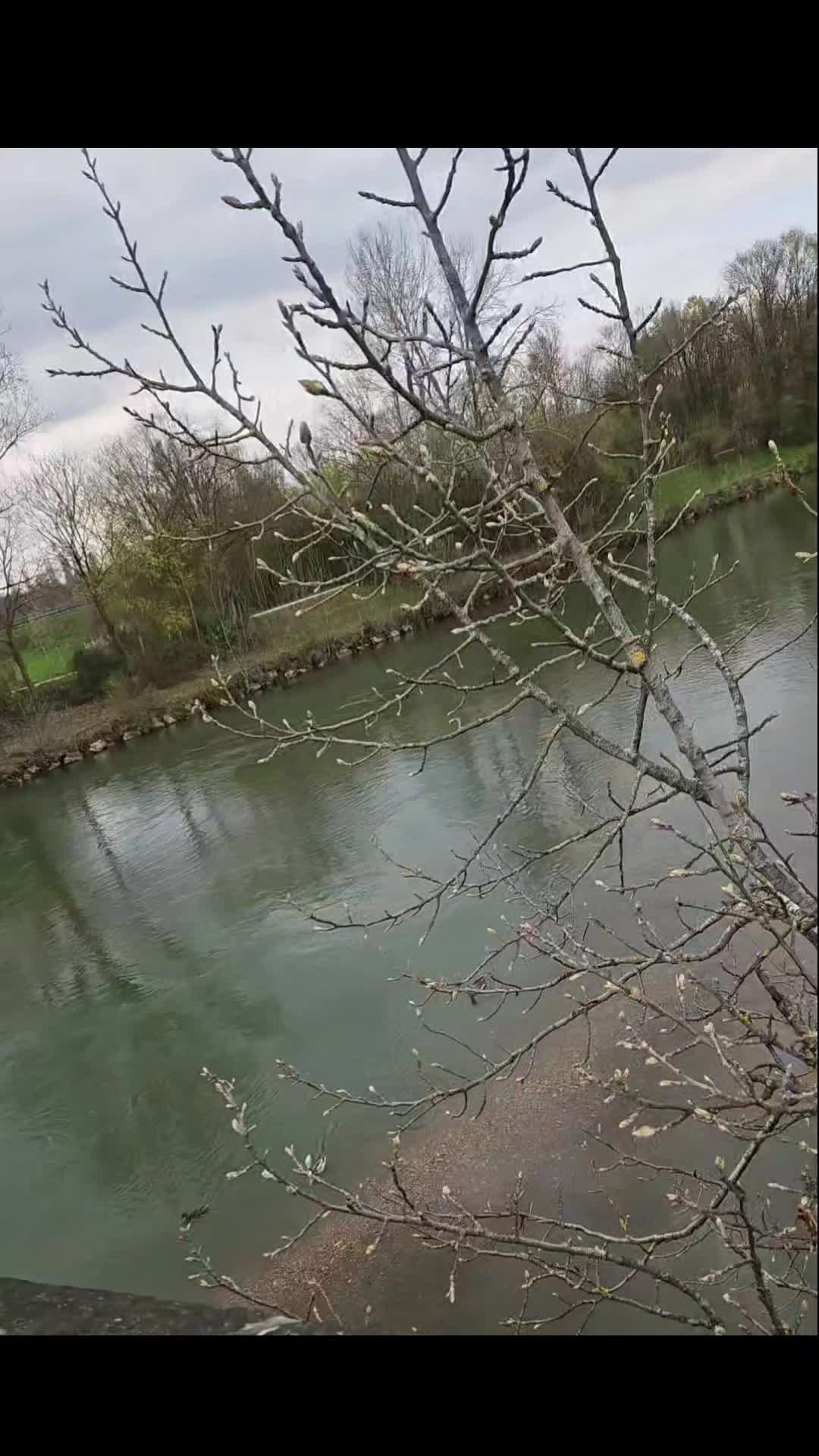 @🦢மேனகா🦢