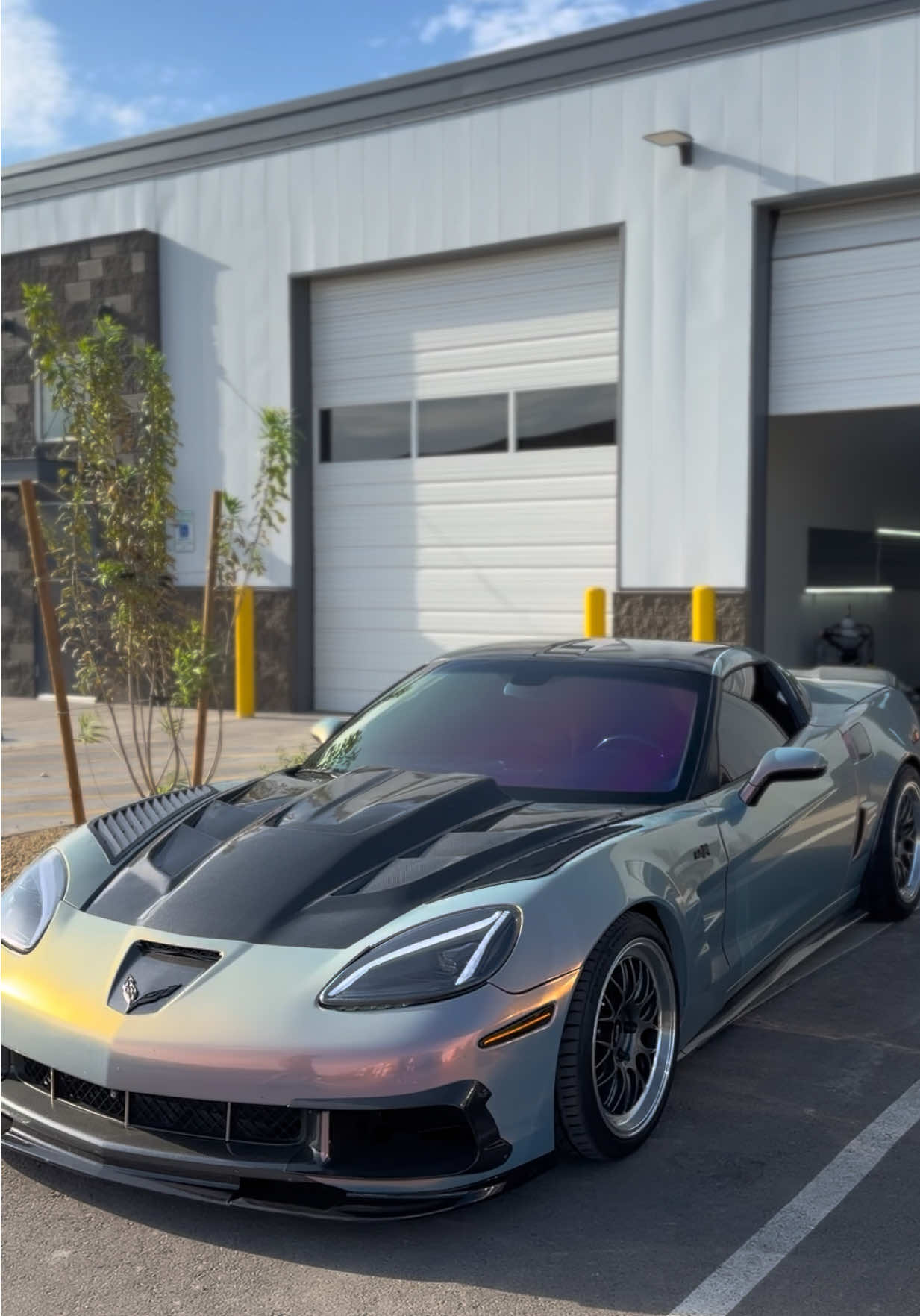 @Boredo Tints