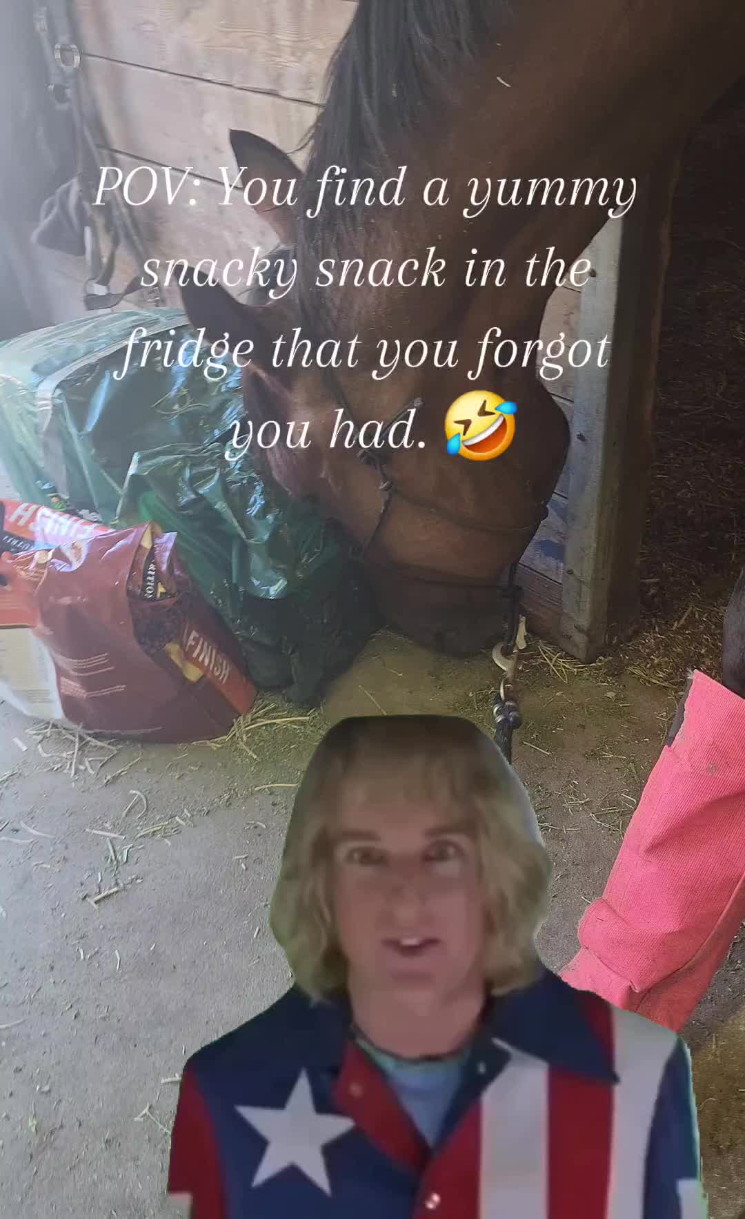 @linds_and_allegro
