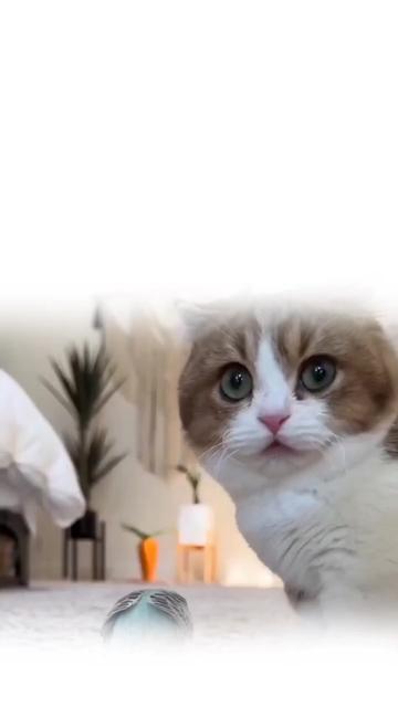 @🌼𝐒𝐮𝐝𝐡𝐢𝐫_𝐖𝐫𝐢𝟖𝐬🥀🕊️