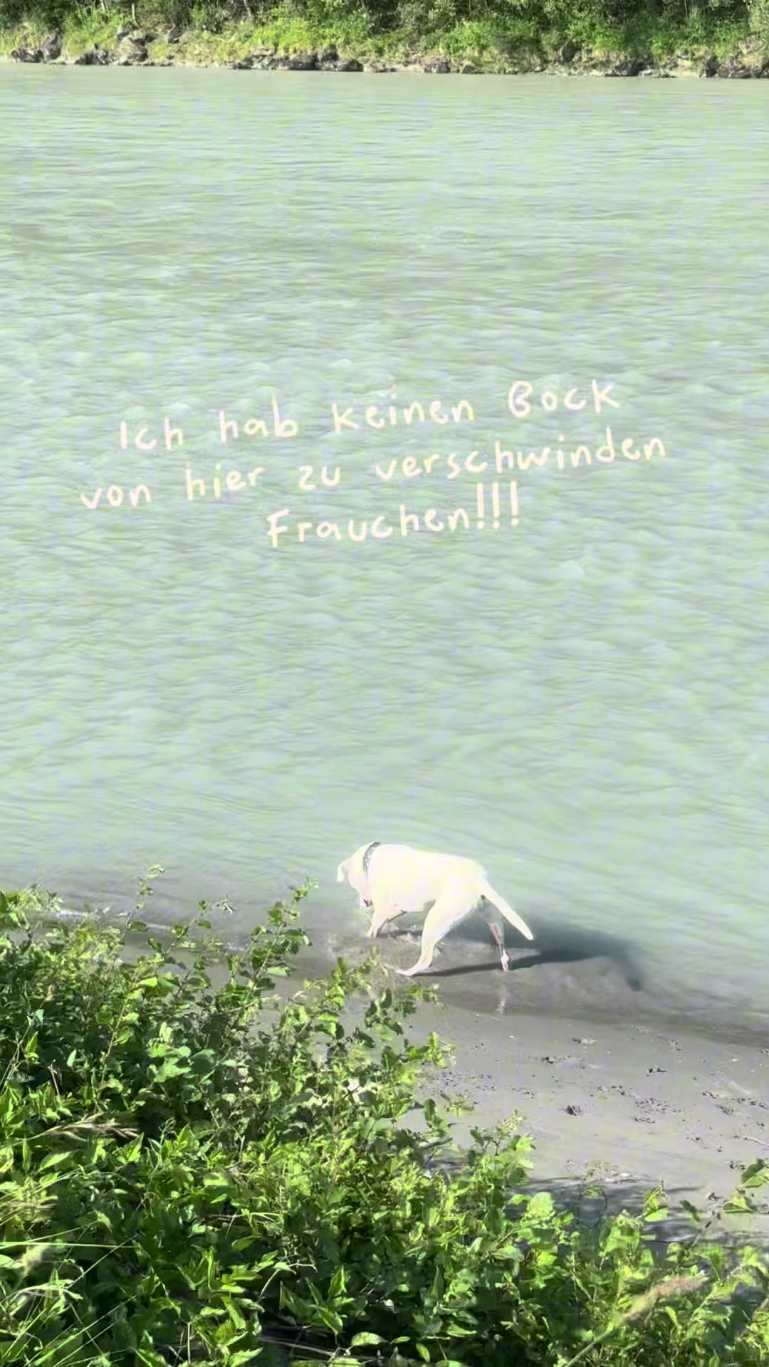 @MaSa, Louis & die Pferde