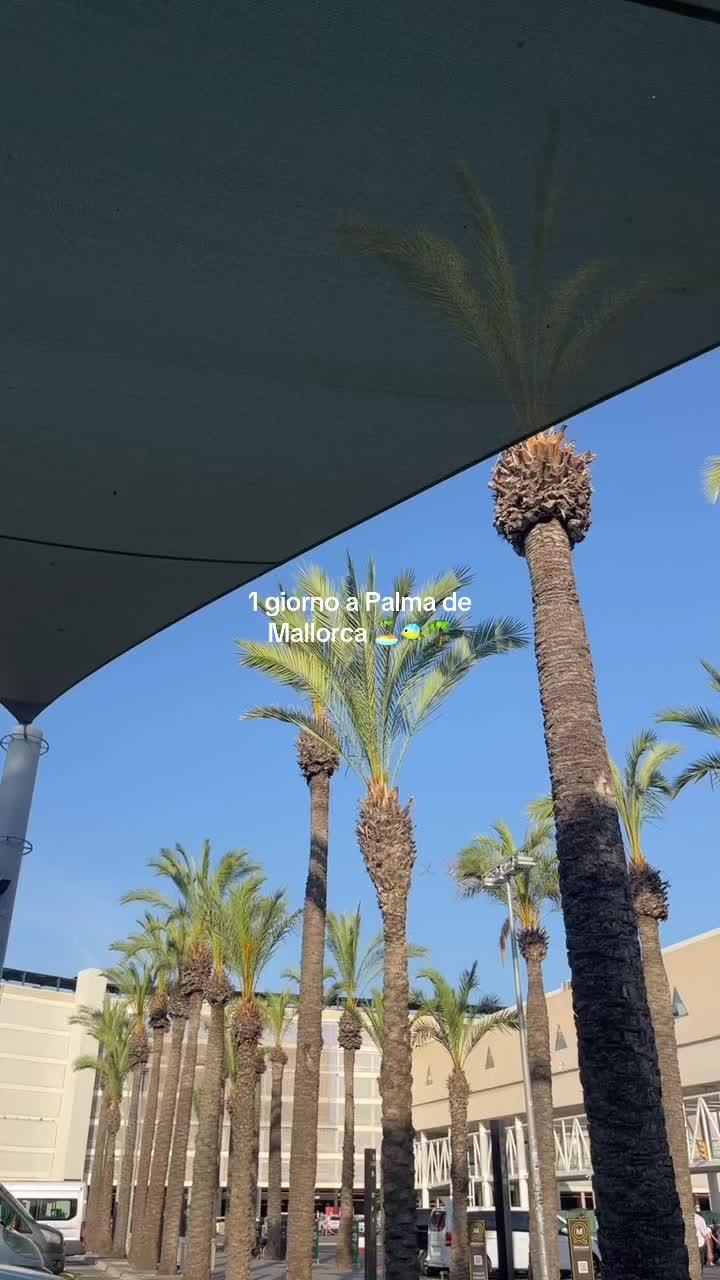 @Giorgiadomi01