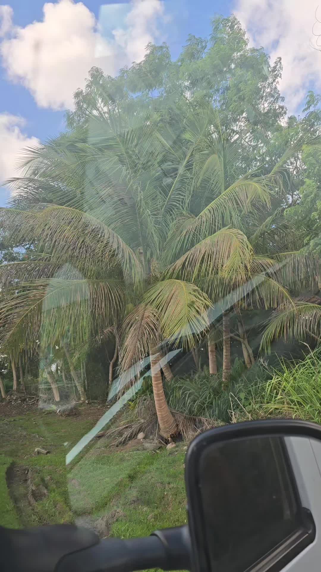 @jhose.31