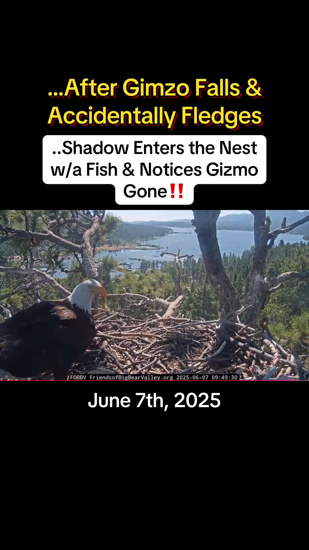@Hfizzie&rsquo;s News & Views