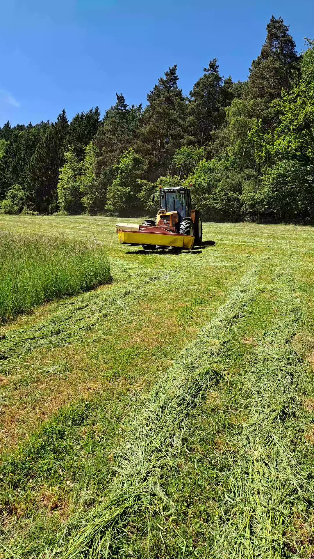 @Da Farmer