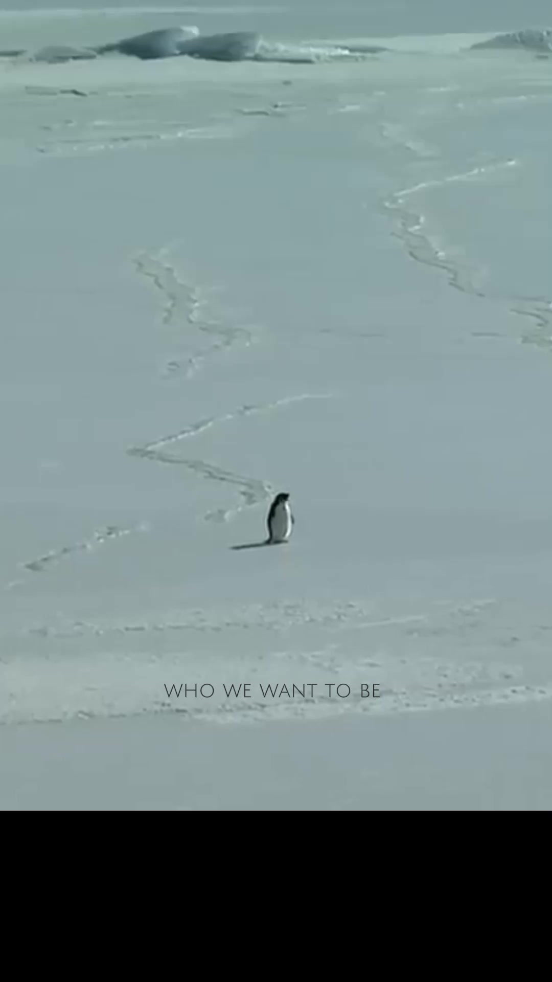 @who we want to be