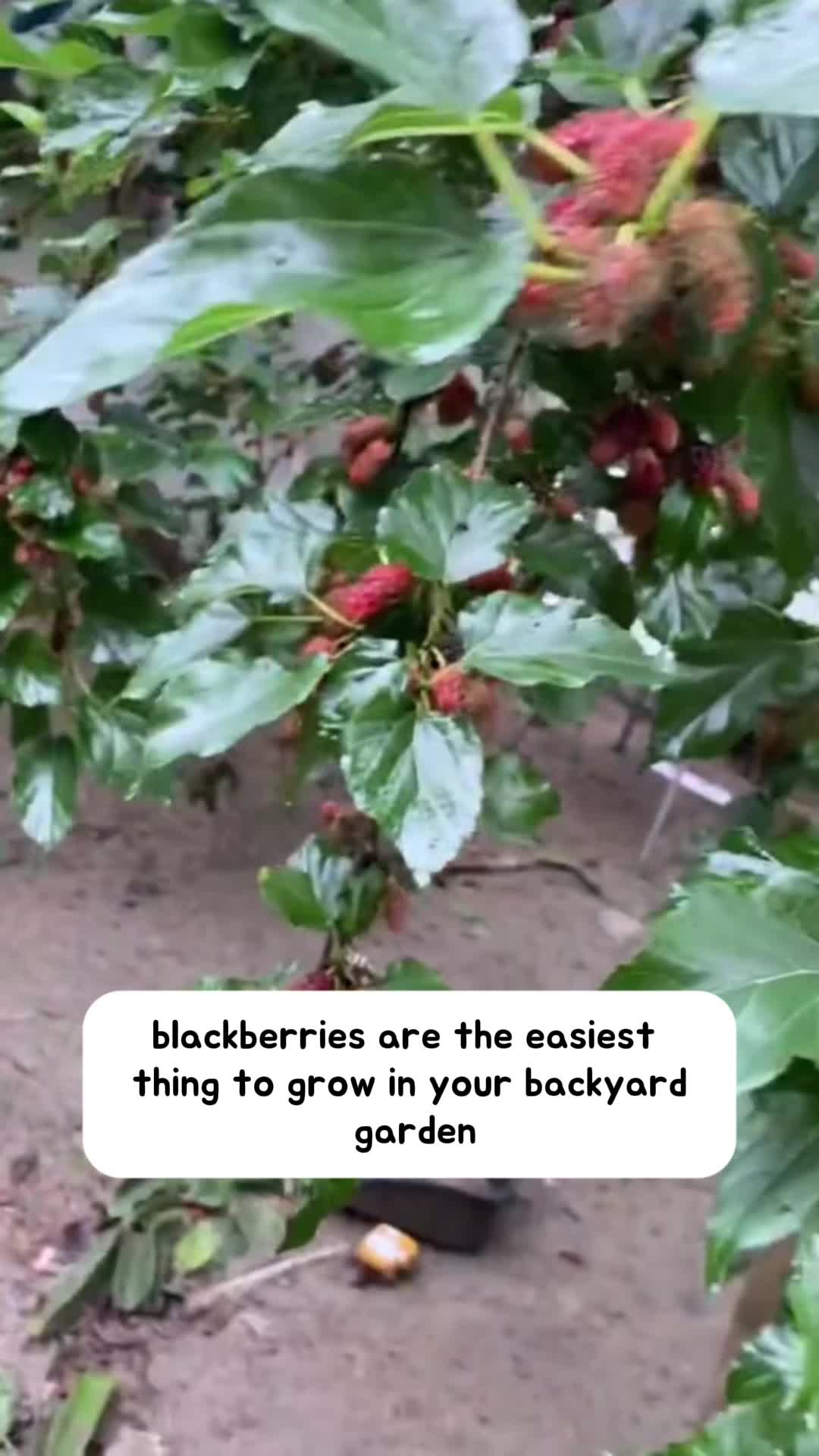 @1