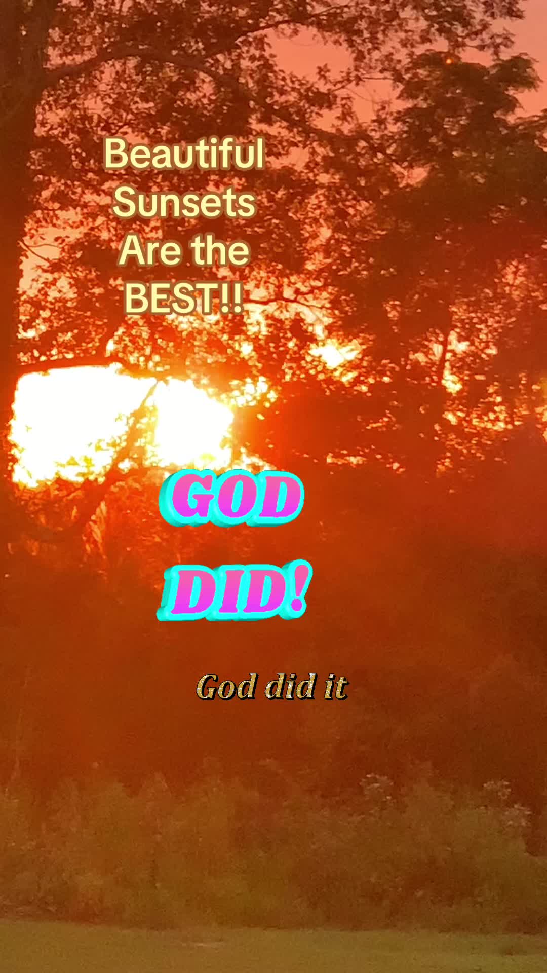@Dragonflydreams