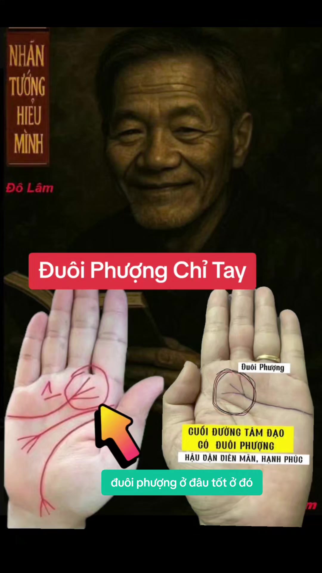 @Nhân Tướng Hiểu Mình