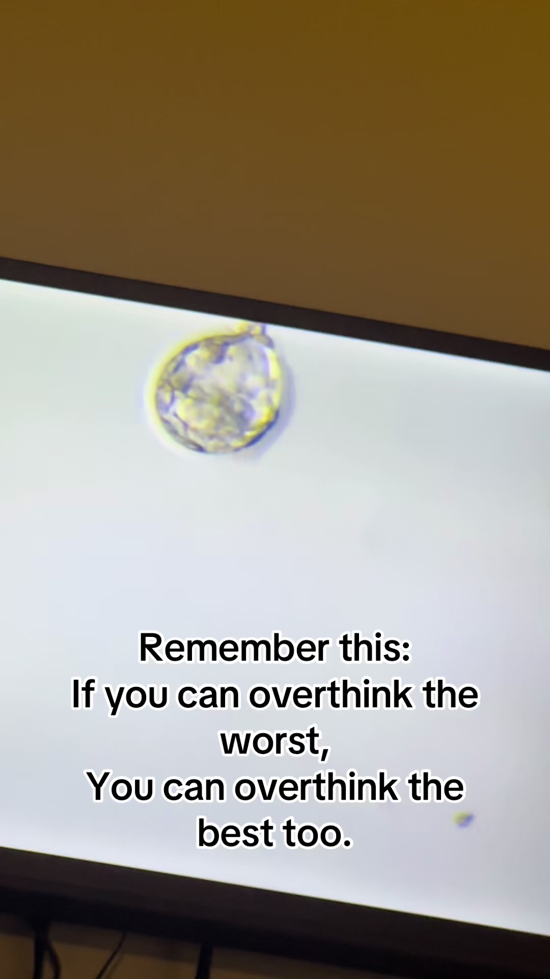 @Michelle