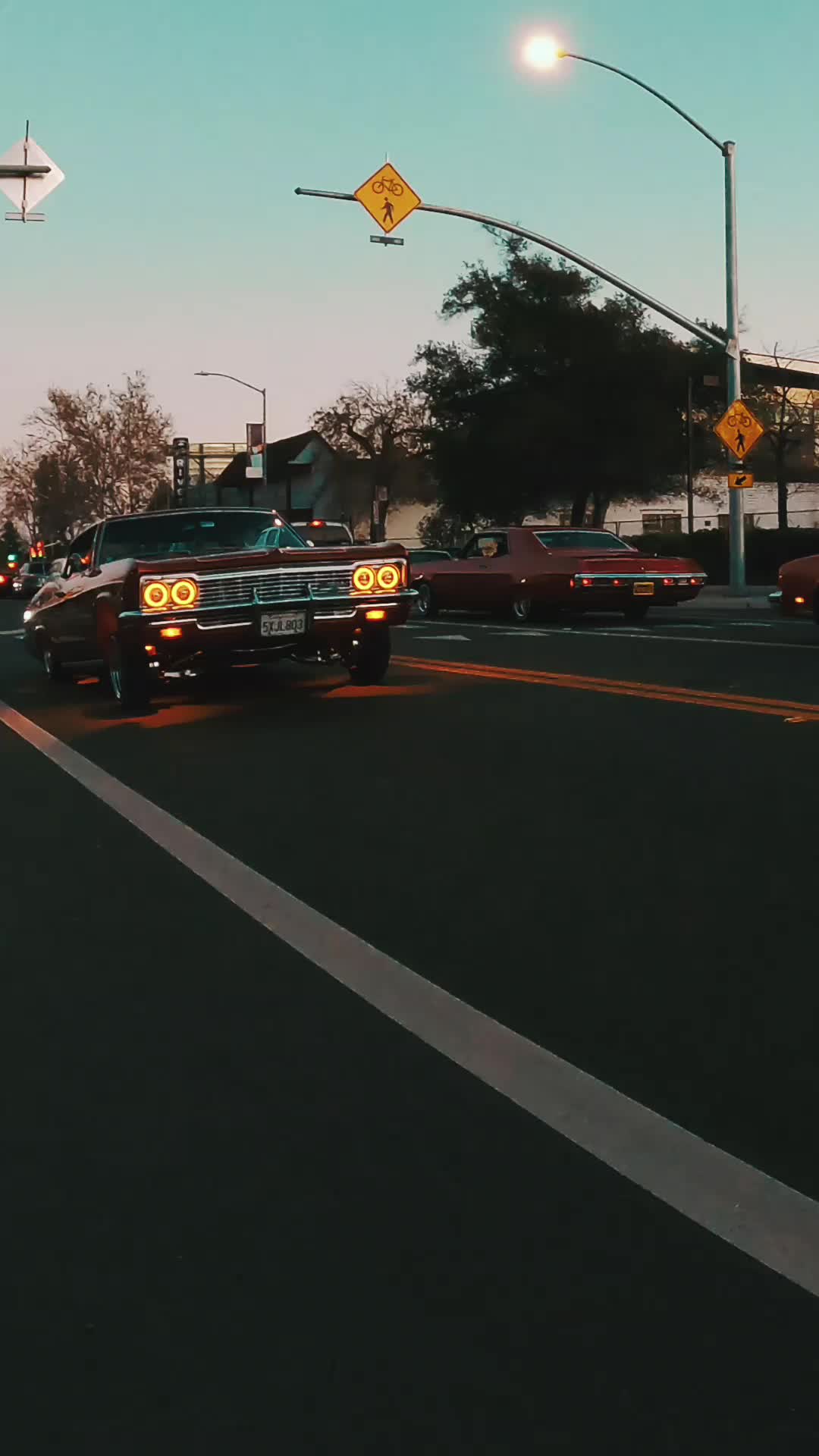 @916_caligrown