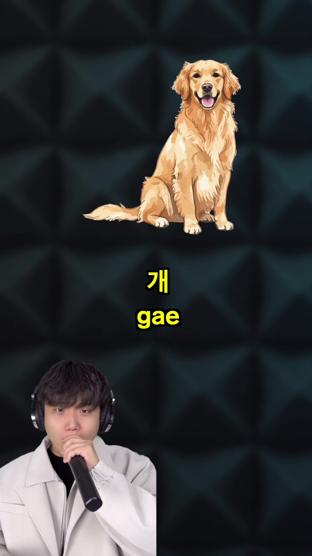 @Korean Hamin