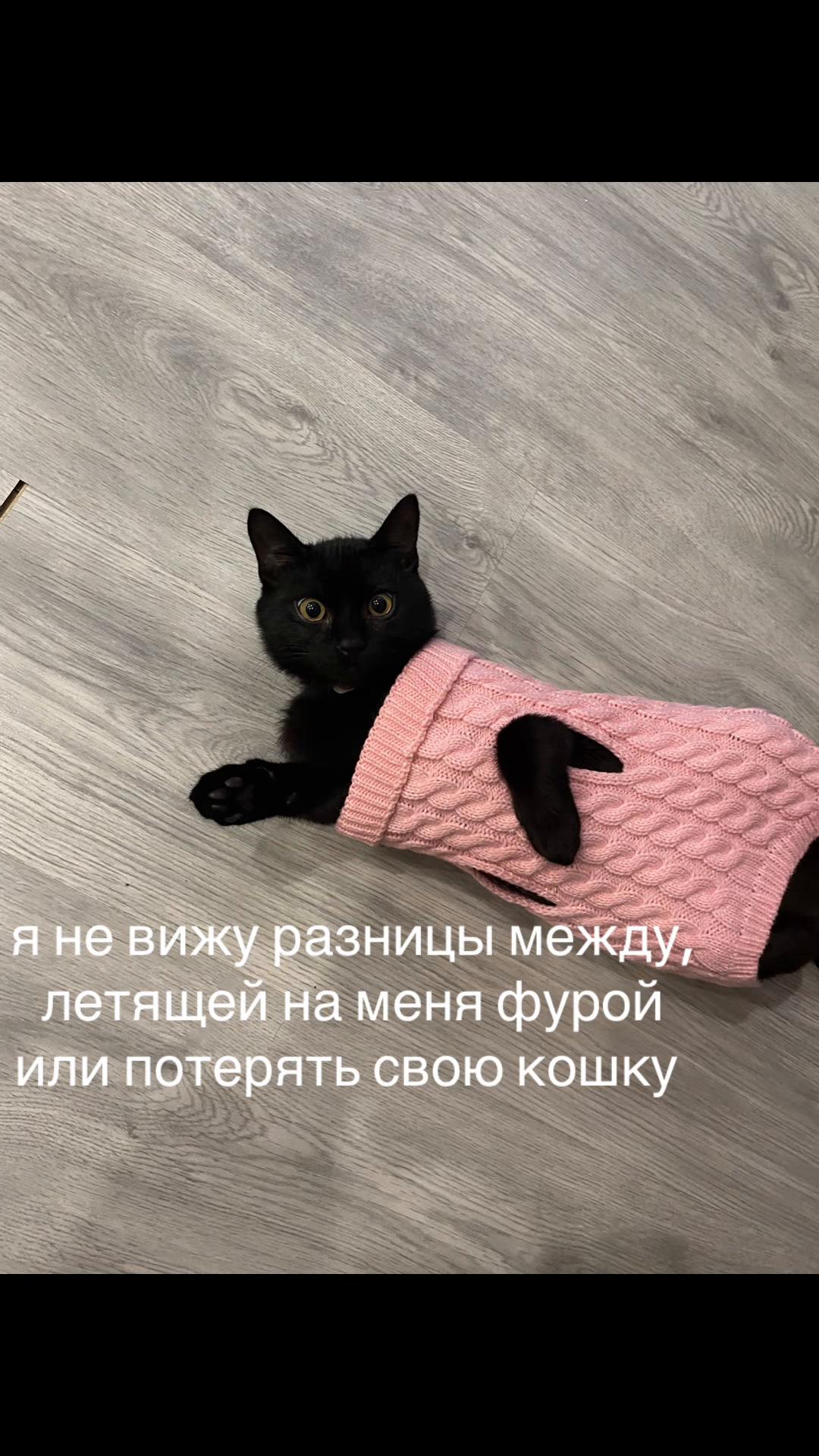 @ветаа🫦