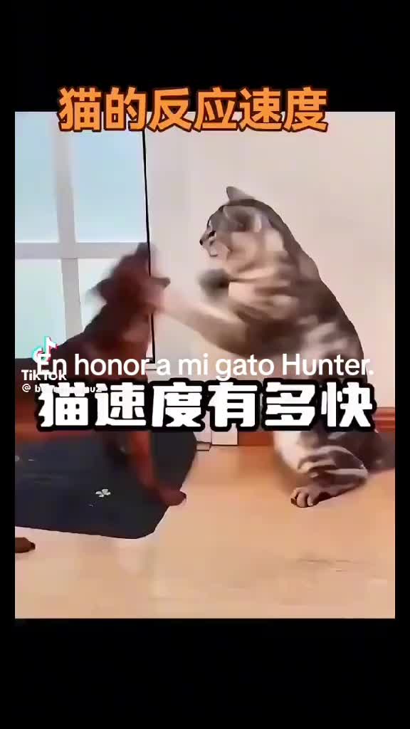 @albertohernande48953