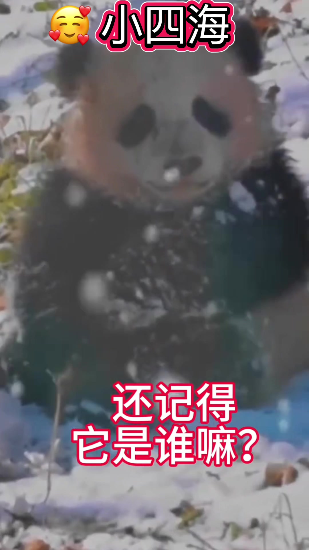 @一生等待