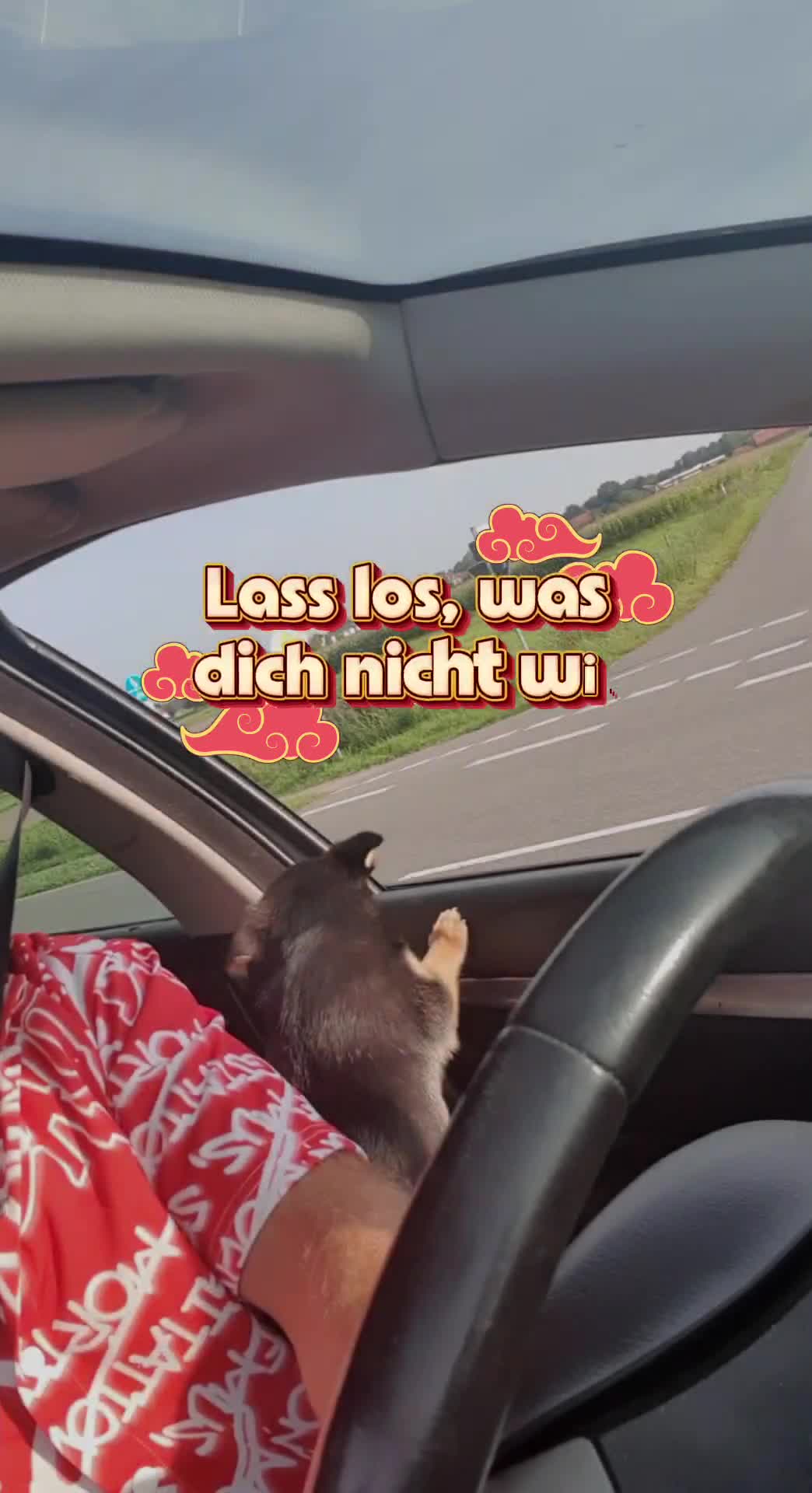 @.¸,✵°✵.。.✰ 𝓣𝓸𝓽𝓸 ✰.。.✵°✵,¸.