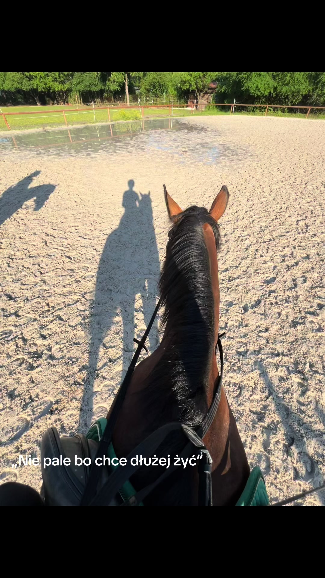 @s.equestrian