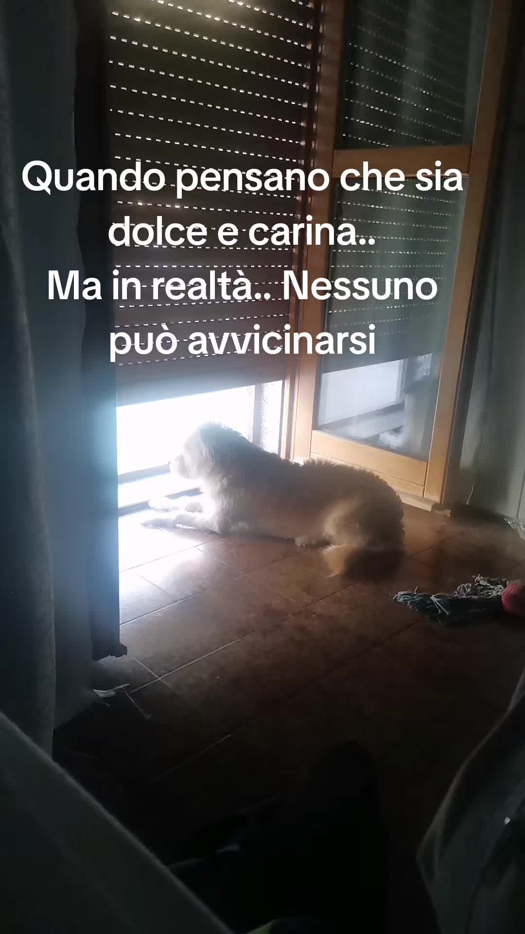 @Monia 🌹