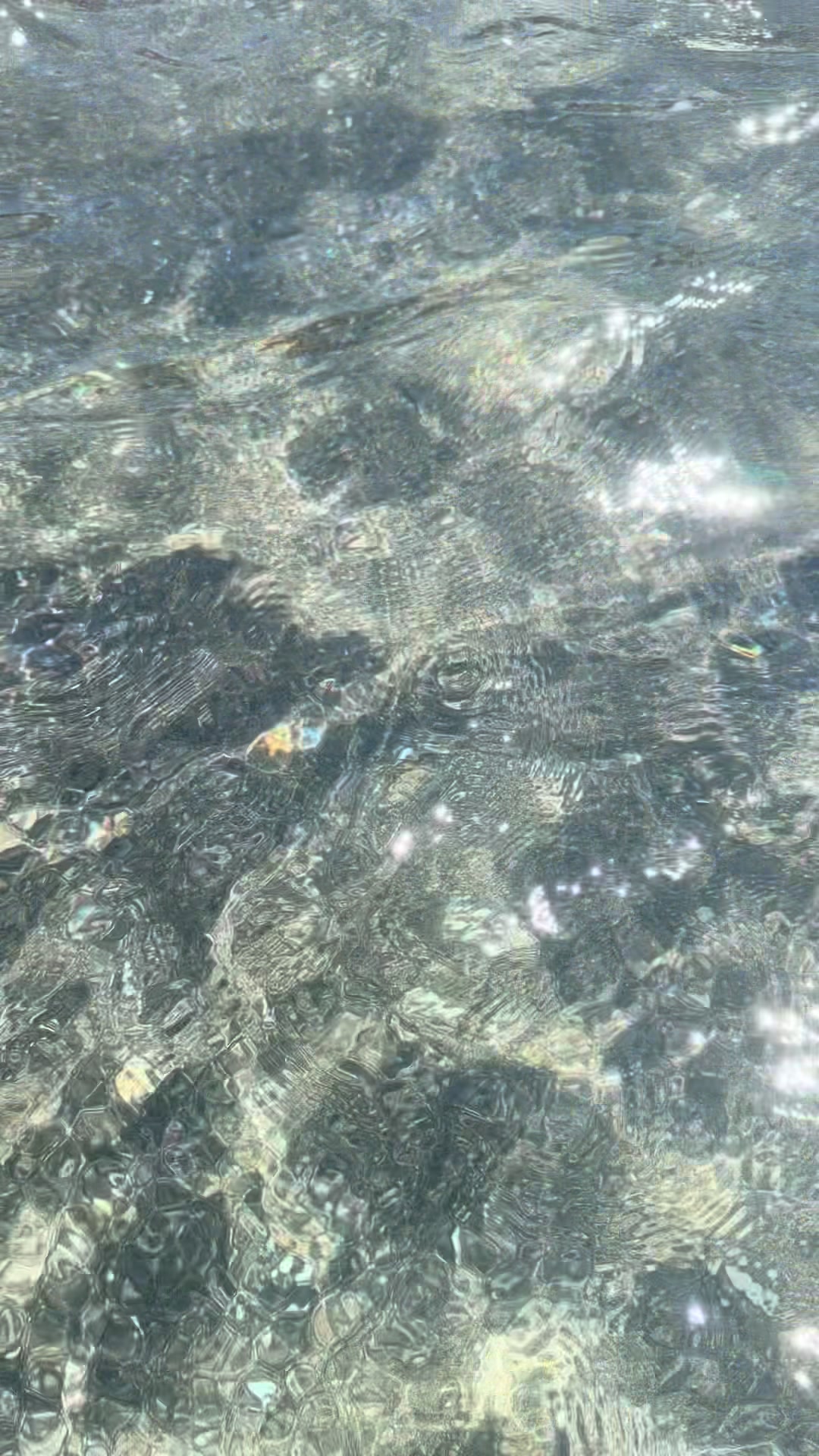 @Floruccia