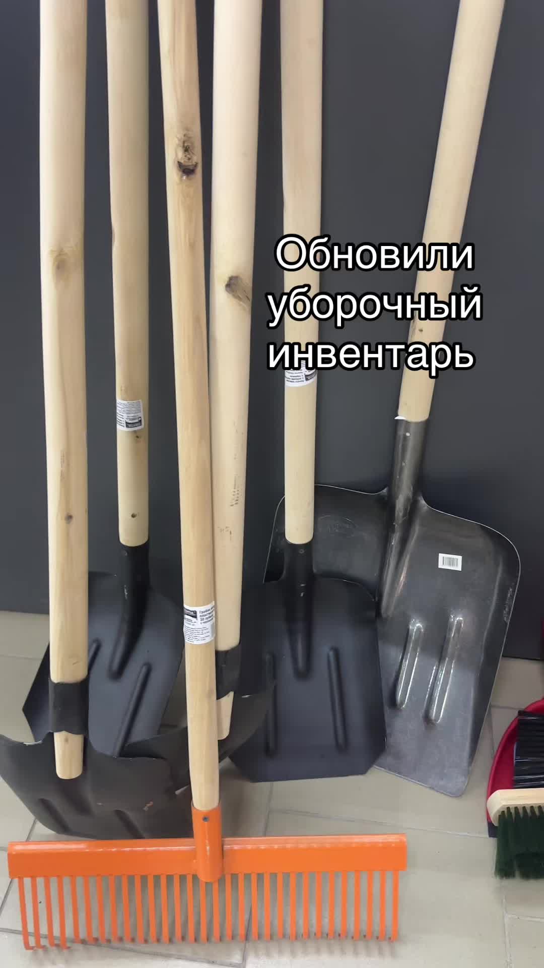 @Директор «Песокот»250🐈🐶