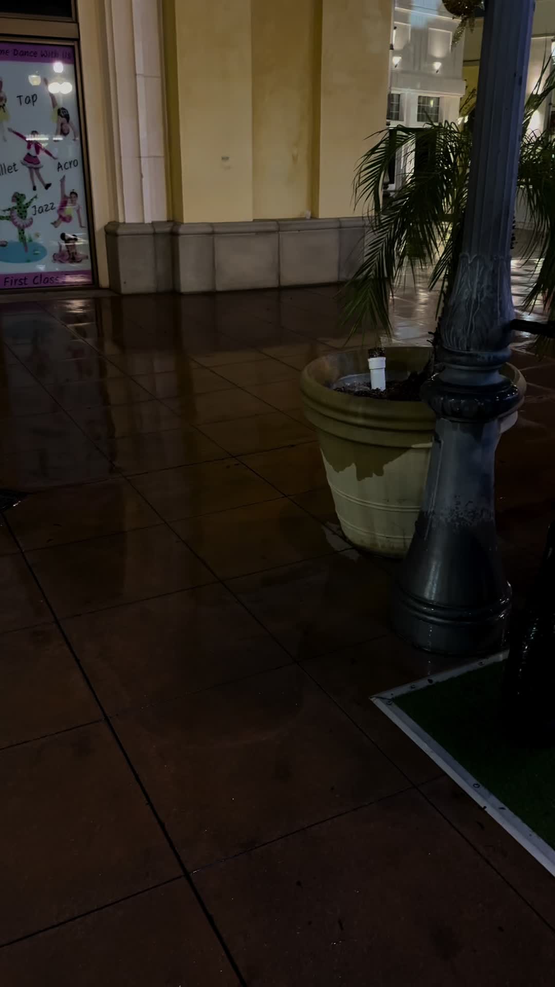 @macfoxisma