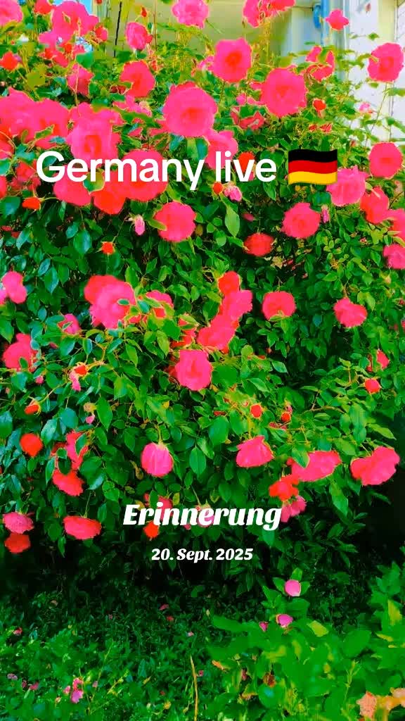 @Nabeela Germany 🇩🇪