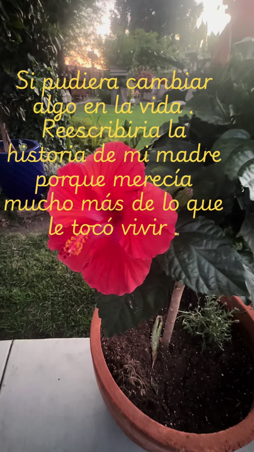 @💯🦂♥️ Javier Del Rio