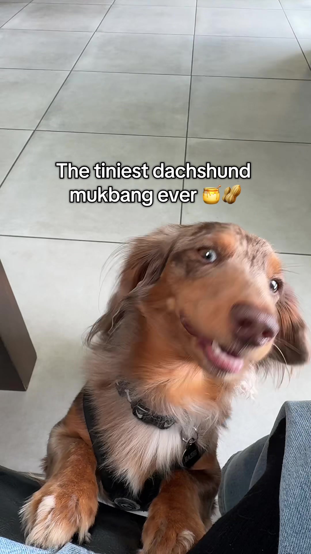 @B&auml;shi